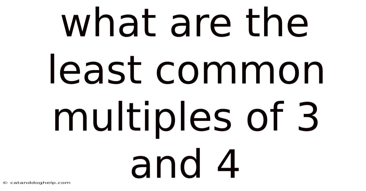 What Are The Least Common Multiples Of 3 And 4