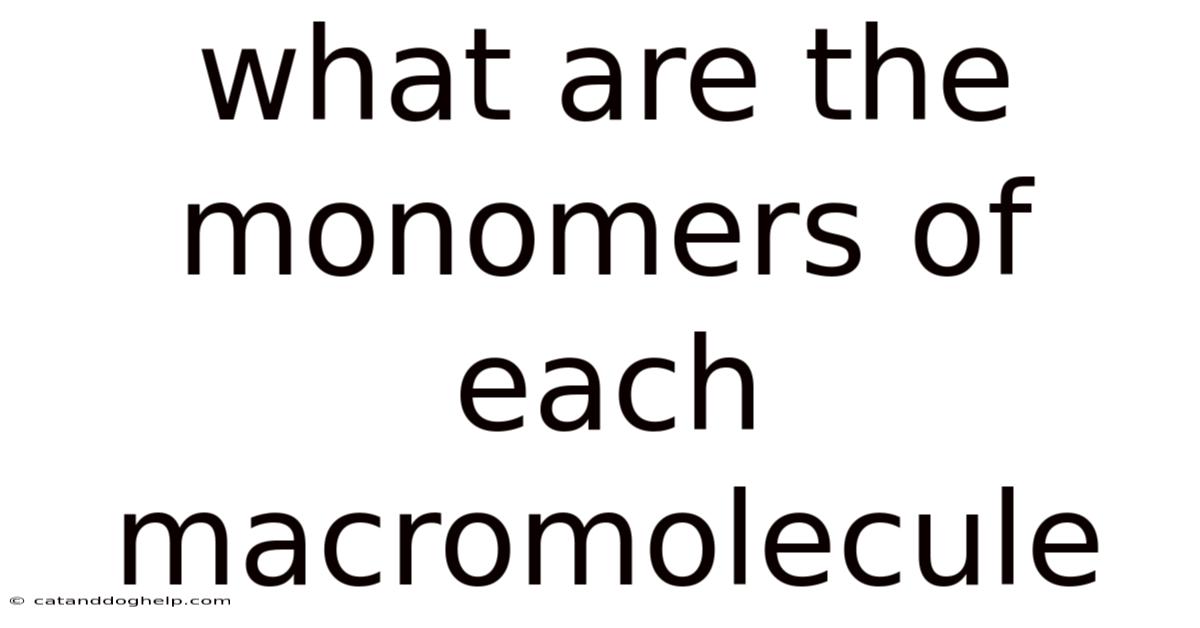 What Are The Monomers Of Each Macromolecule