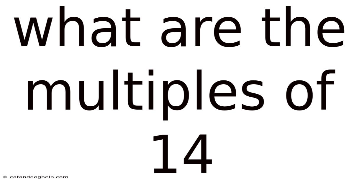 What Are The Multiples Of 14
