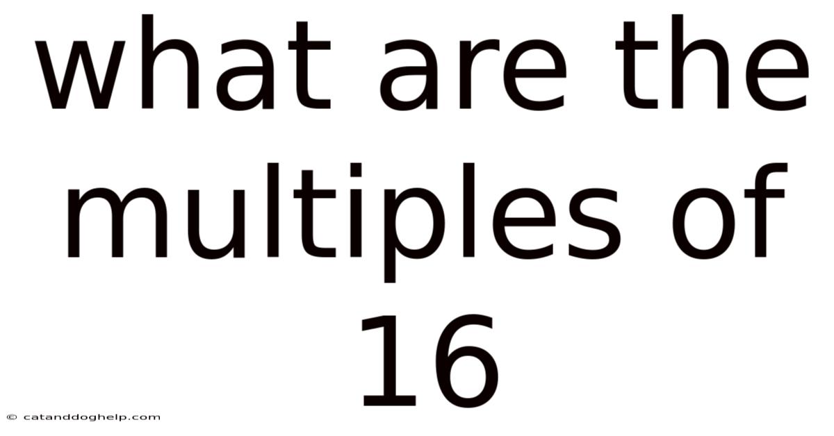 What Are The Multiples Of 16