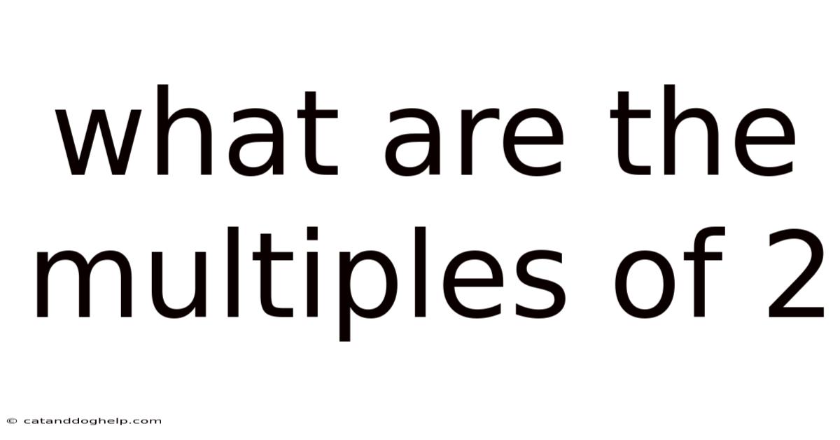 What Are The Multiples Of 2