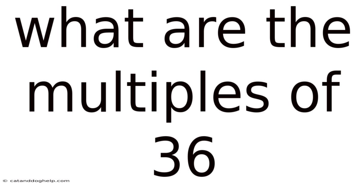 What Are The Multiples Of 36