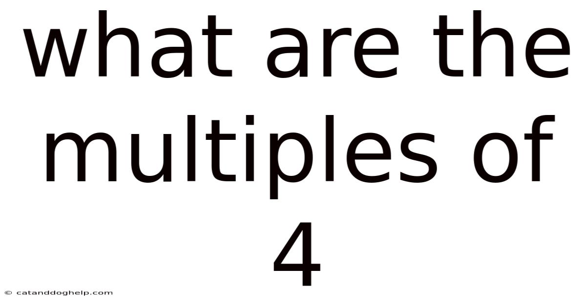 What Are The Multiples Of 4