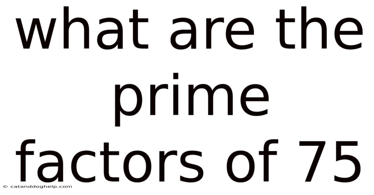 What Are The Prime Factors Of 75
