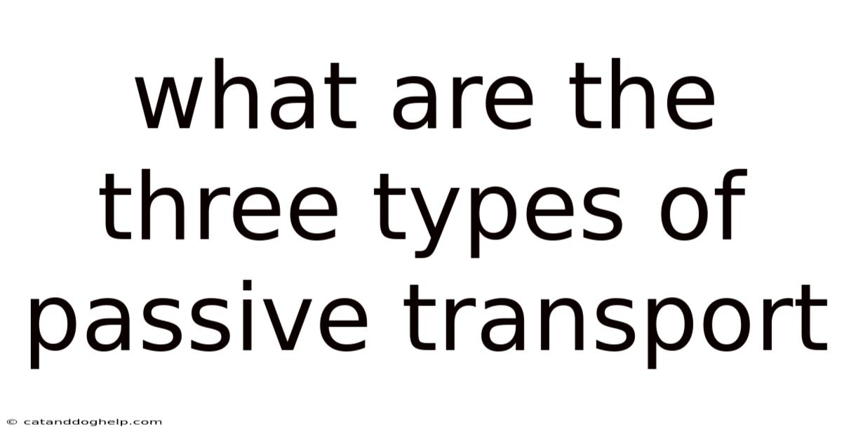 What Are The Three Types Of Passive Transport