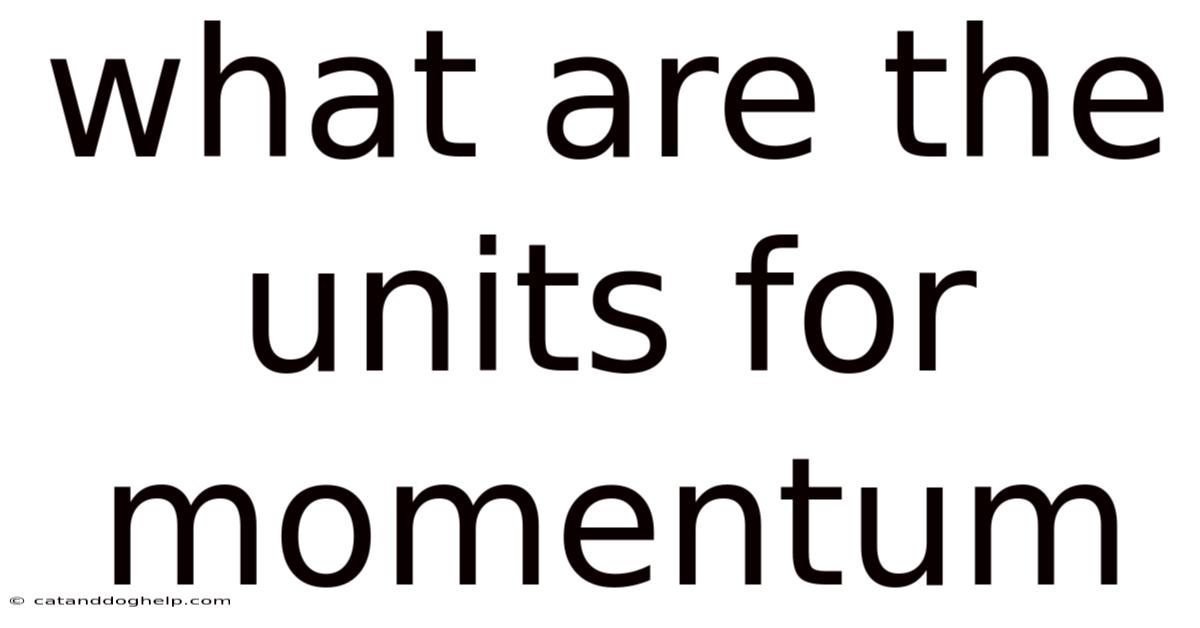 What Are The Units For Momentum