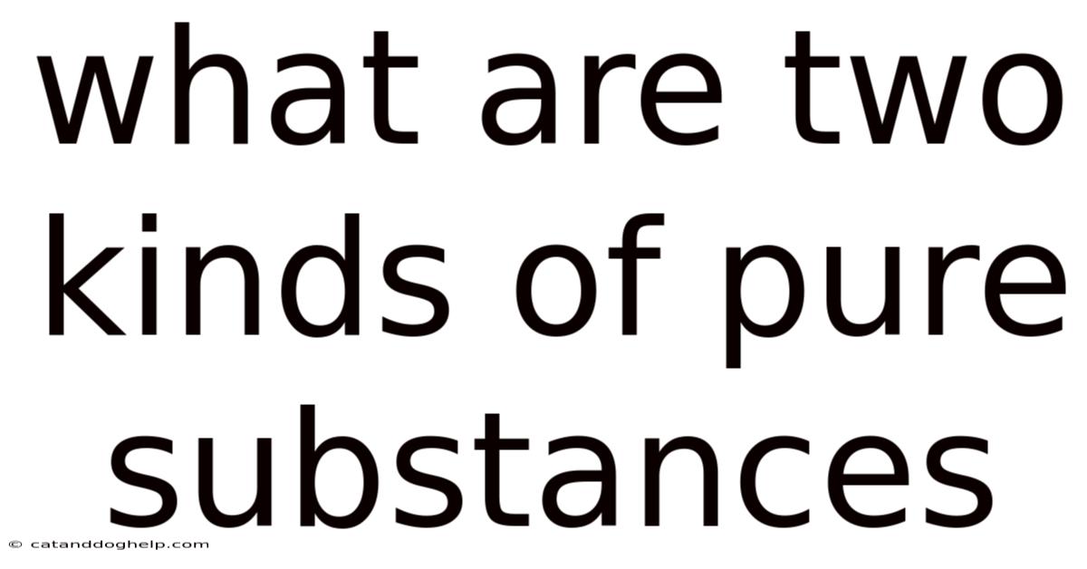 What Are Two Kinds Of Pure Substances