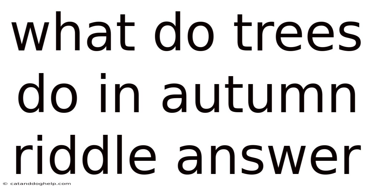 What Do Trees Do In Autumn Riddle Answer