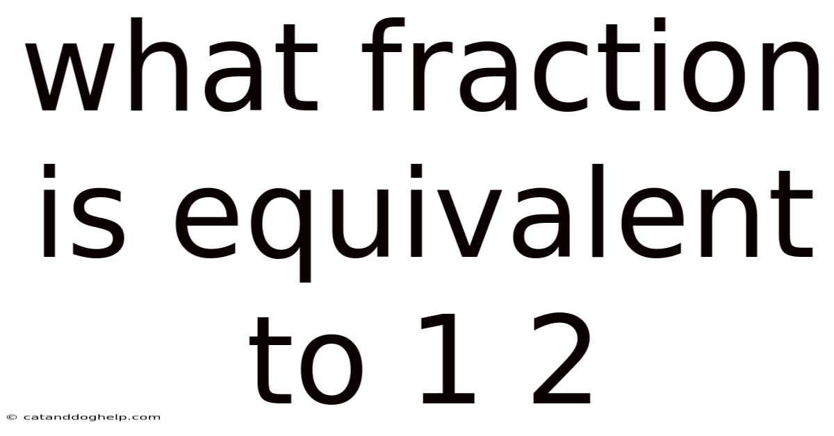 What Fraction Is Equivalent To 1 2