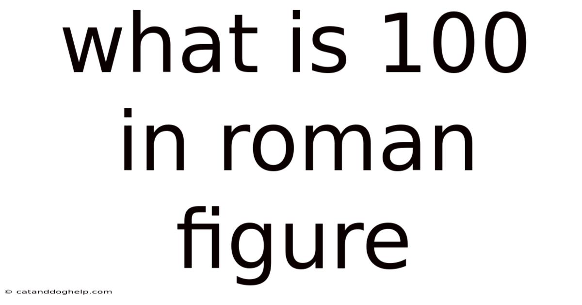 What Is 100 In Roman Figure