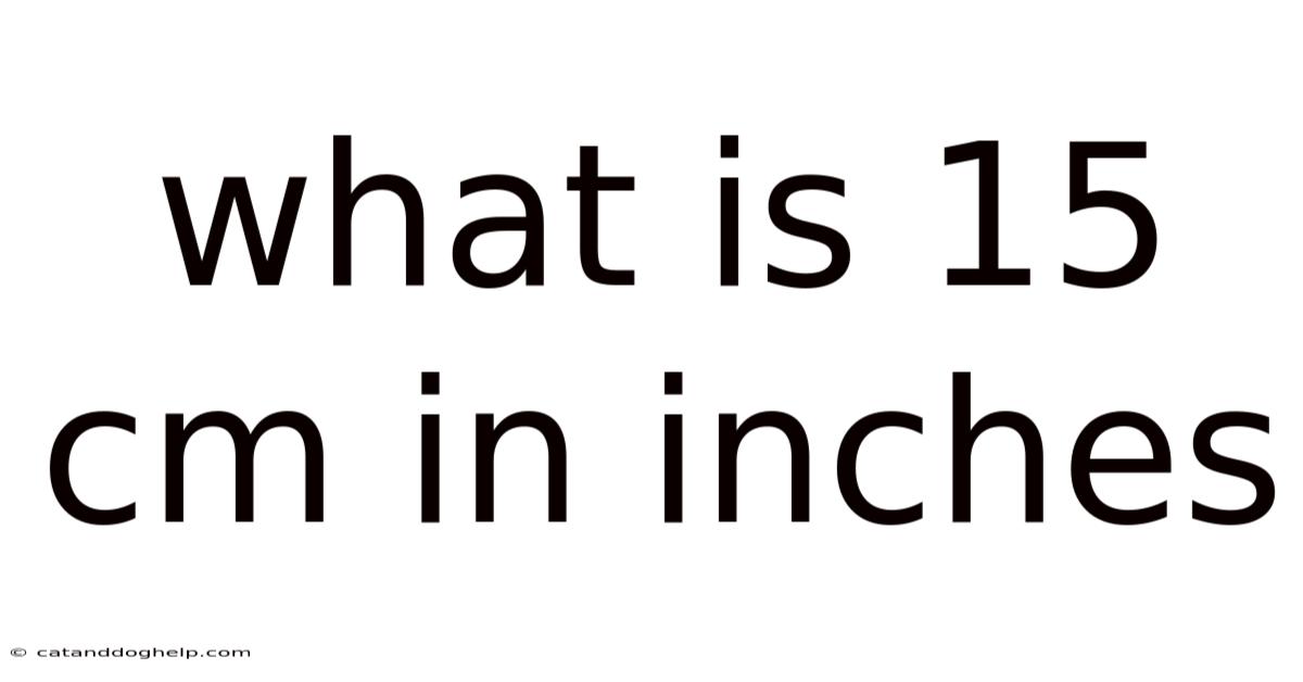 What Is 15 Cm In Inches