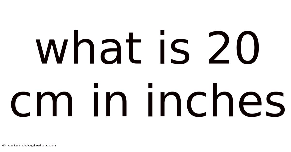 What Is 20 Cm In Inches