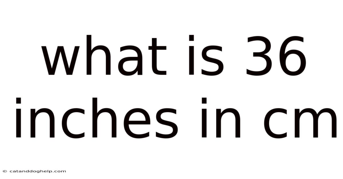 What Is 36 Inches In Cm