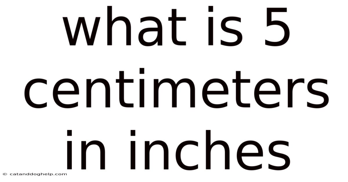 What Is 5 Centimeters In Inches