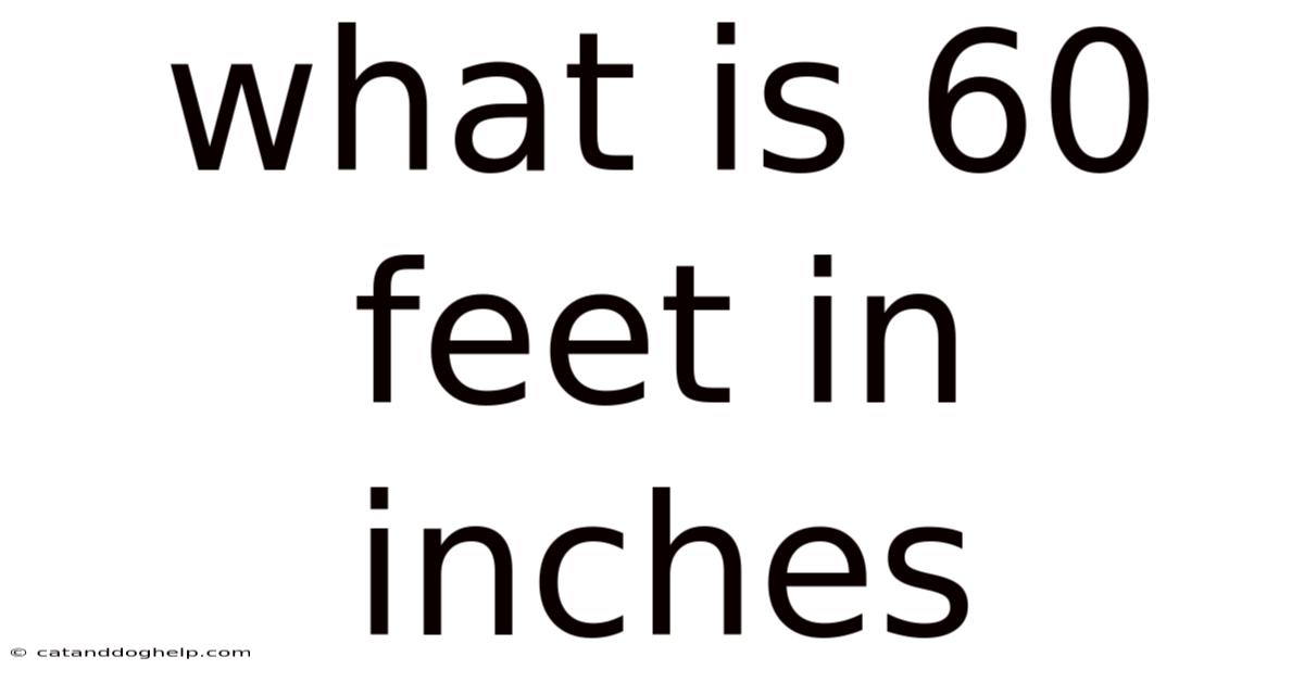 What Is 60 Feet In Inches