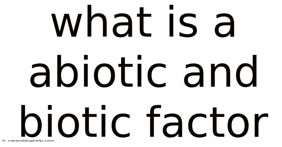 What Is A Abiotic And Biotic Factor