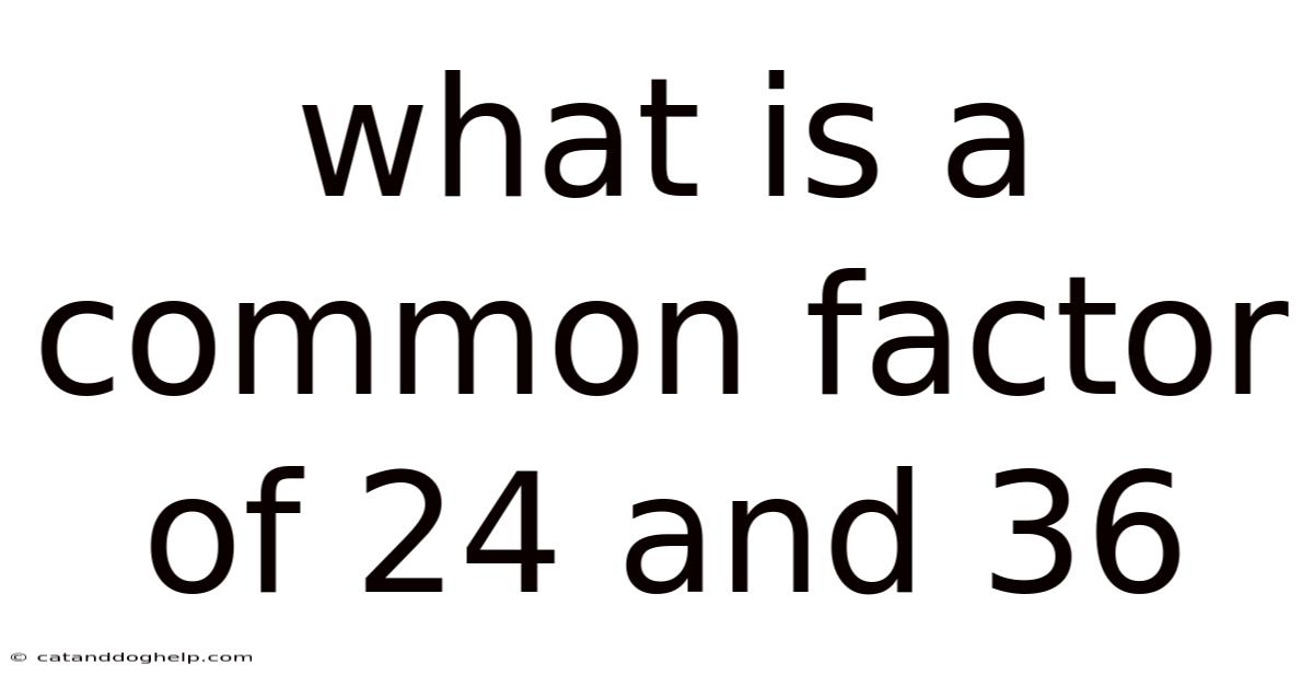 What Is A Common Factor Of 24 And 36