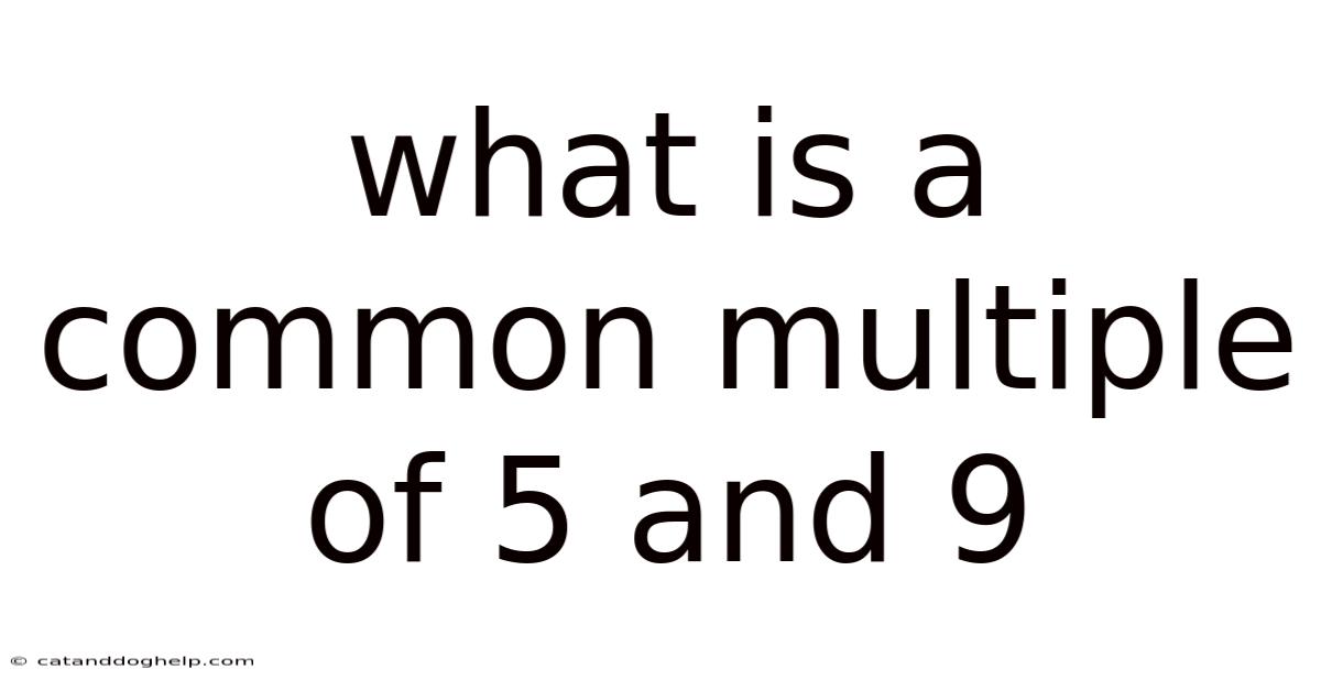 What Is A Common Multiple Of 5 And 9