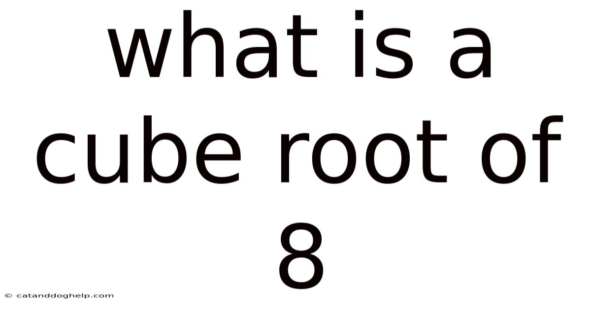 What Is A Cube Root Of 8