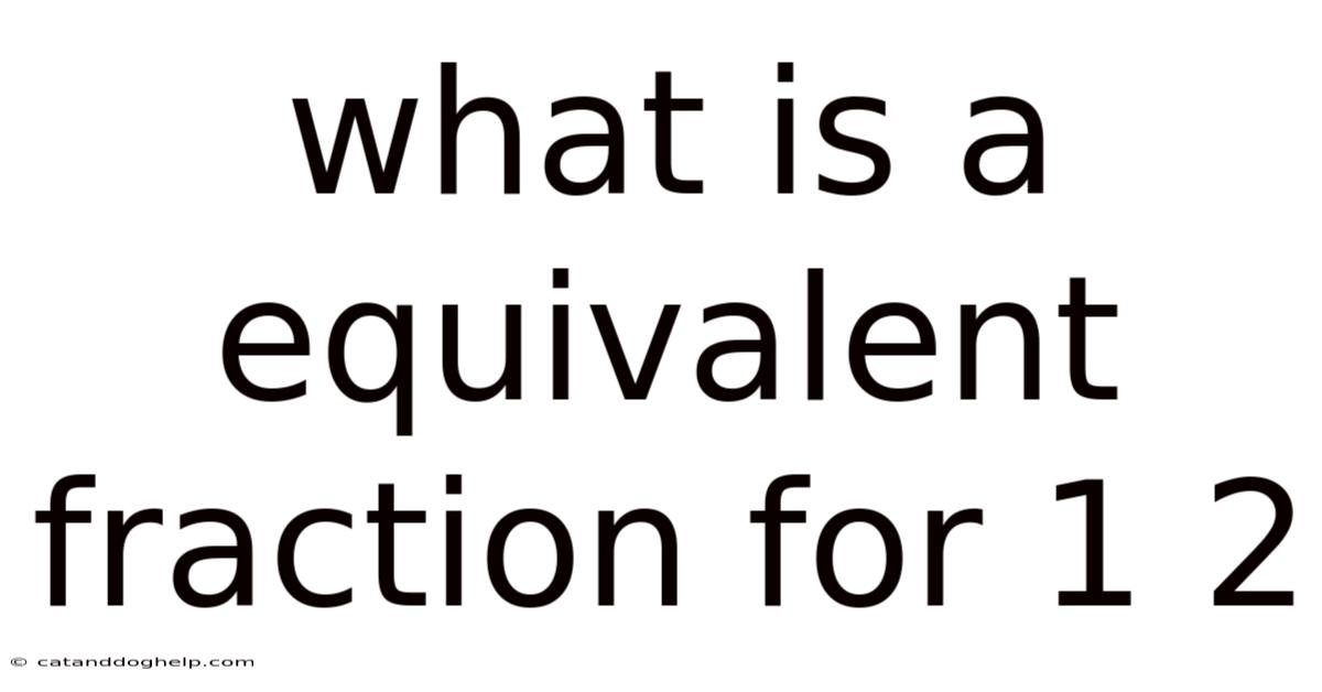 What Is A Equivalent Fraction For 1 2