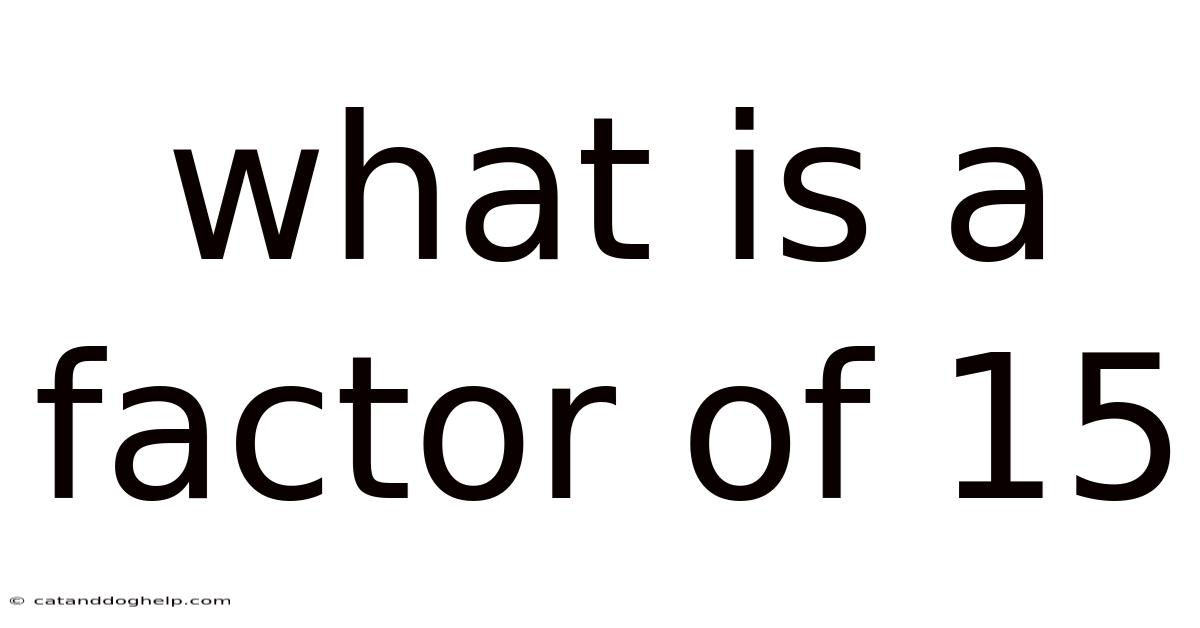 What Is A Factor Of 15