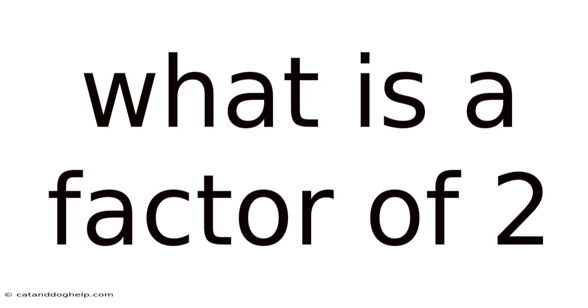 What Is A Factor Of 2