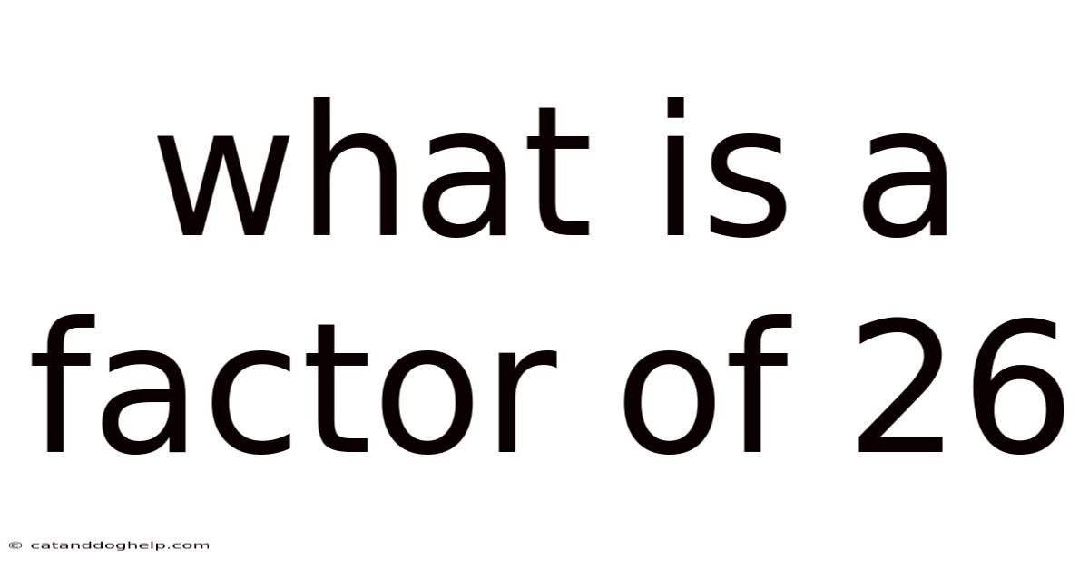 What Is A Factor Of 26