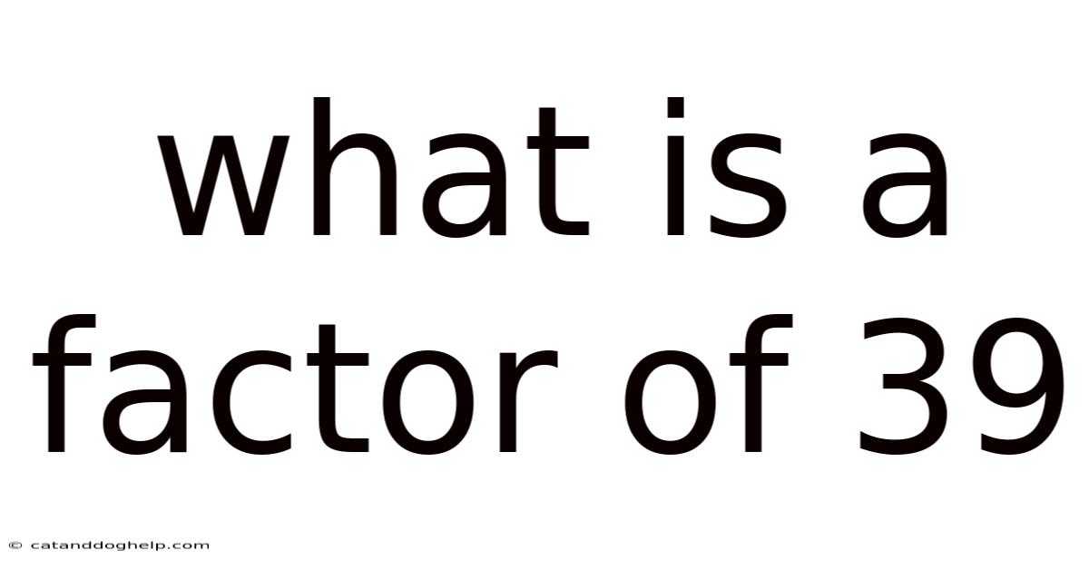 What Is A Factor Of 39