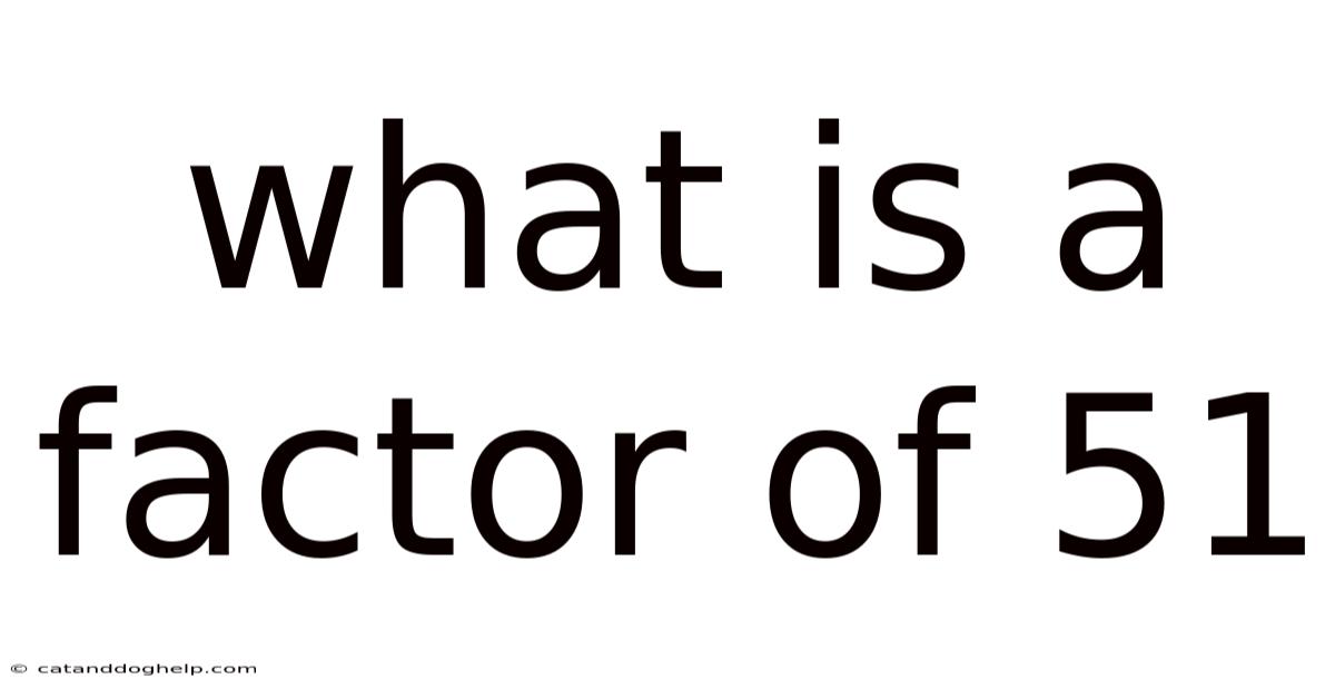 What Is A Factor Of 51