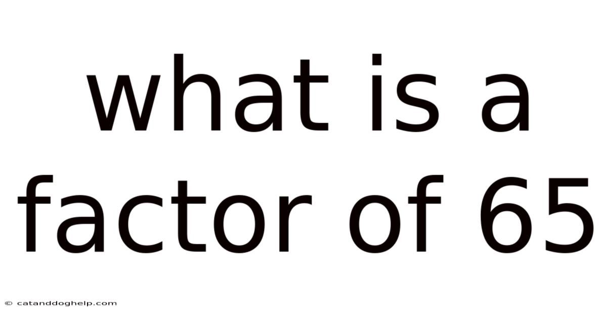 What Is A Factor Of 65