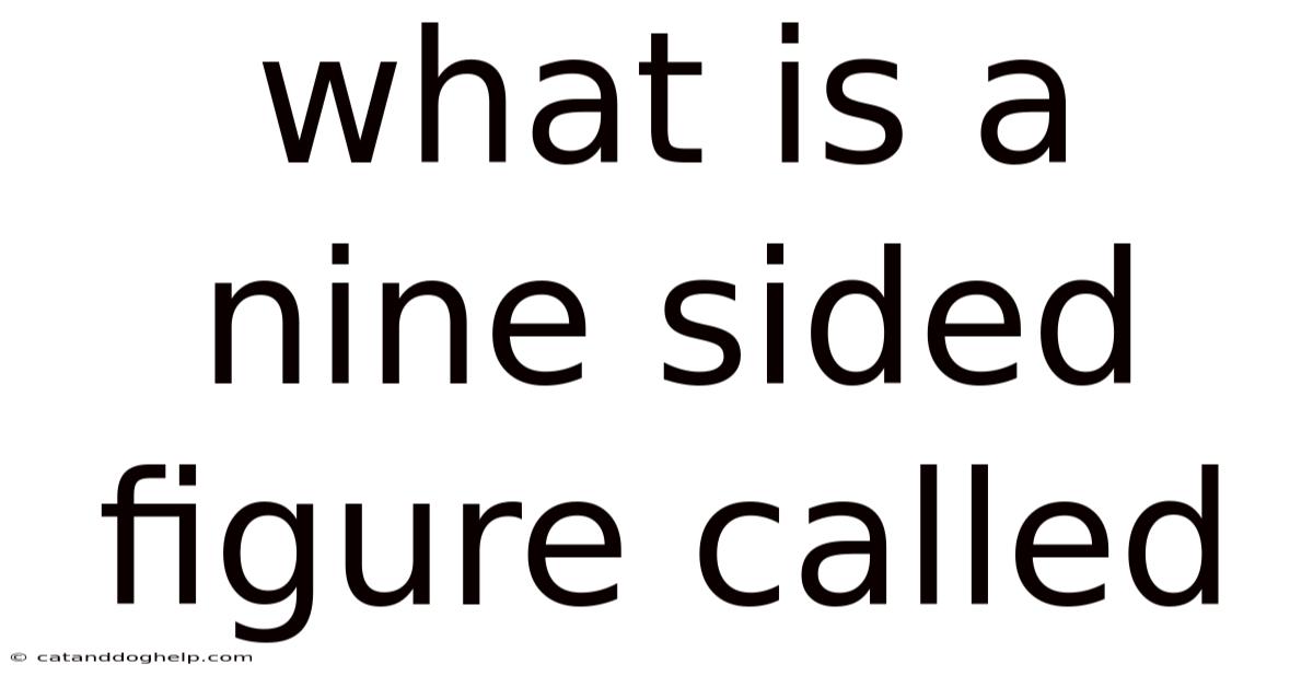 What Is A Nine Sided Figure Called
