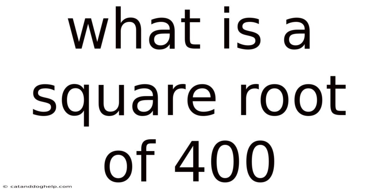 What Is A Square Root Of 400