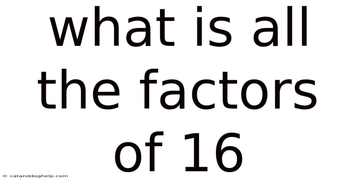 What Is All The Factors Of 16