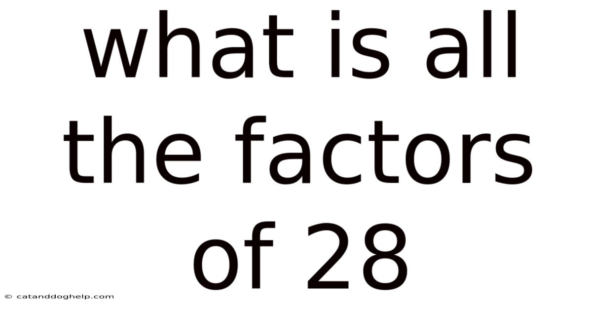 What Is All The Factors Of 28