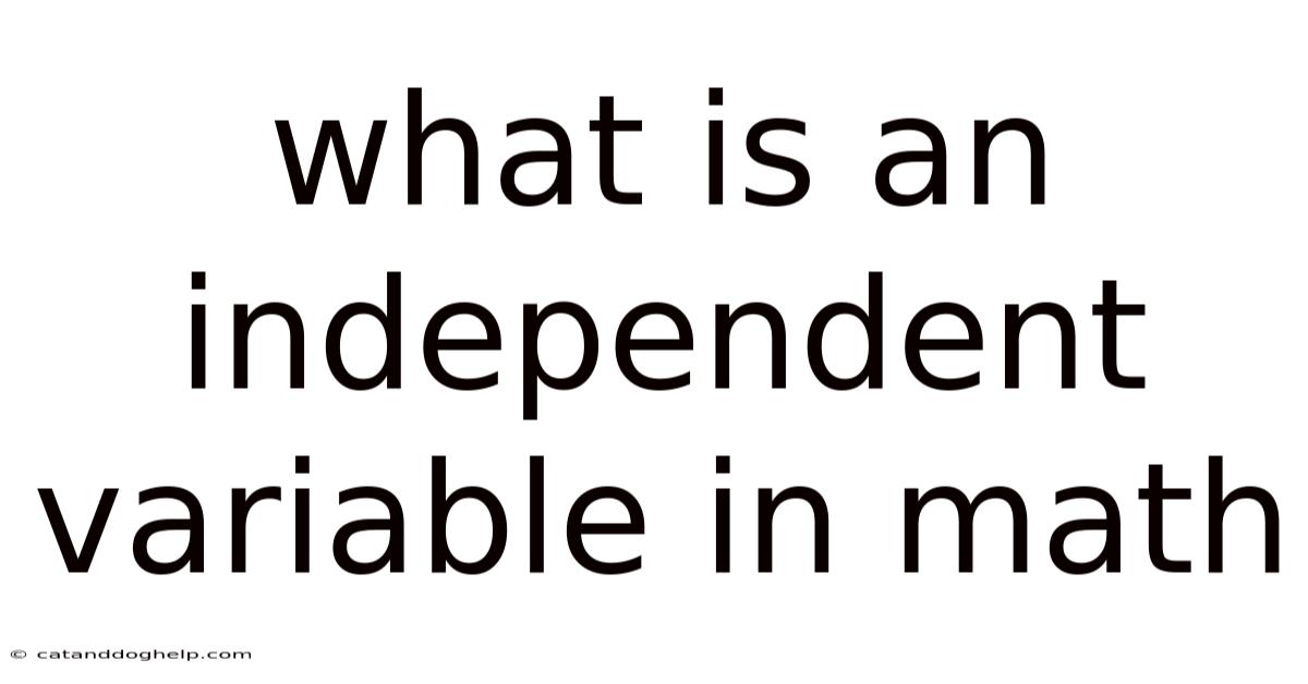 What Is An Independent Variable In Math