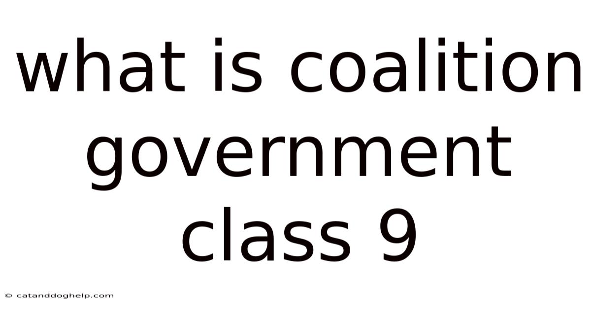 What Is Coalition Government Class 9