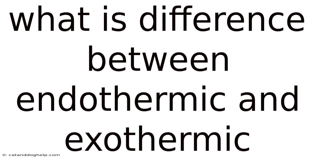 What Is Difference Between Endothermic And Exothermic