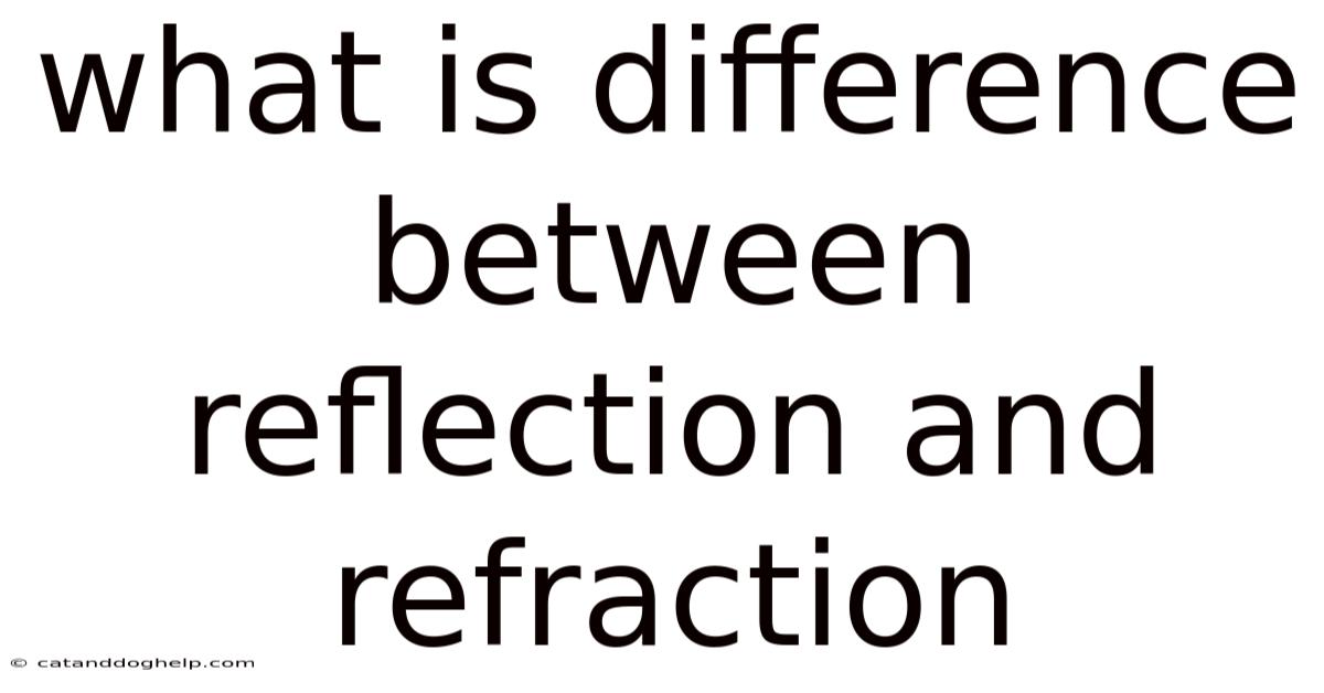 What Is Difference Between Reflection And Refraction