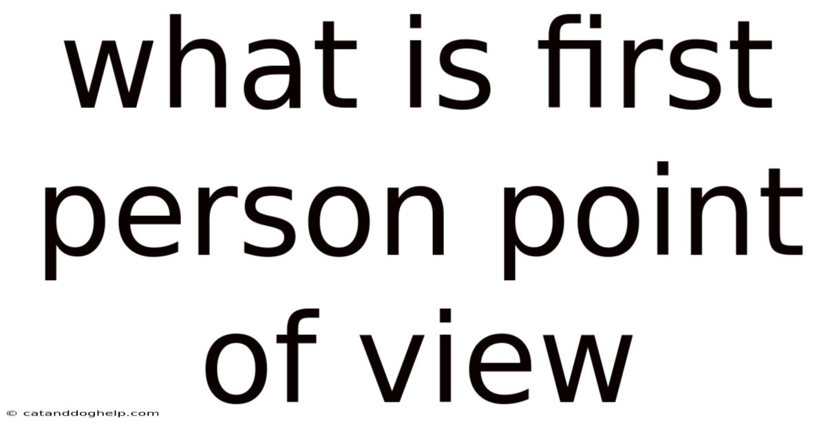 What Is First Person Point Of View