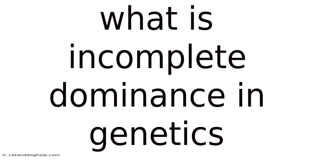 What Is Incomplete Dominance In Genetics