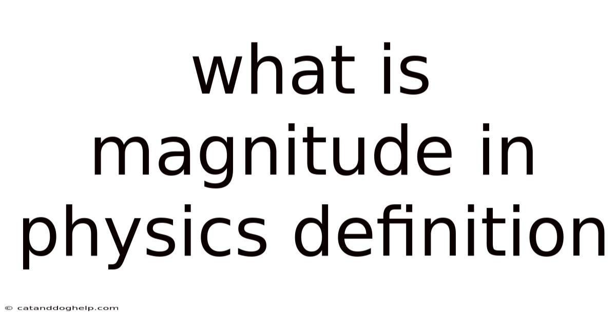 What Is Magnitude In Physics Definition