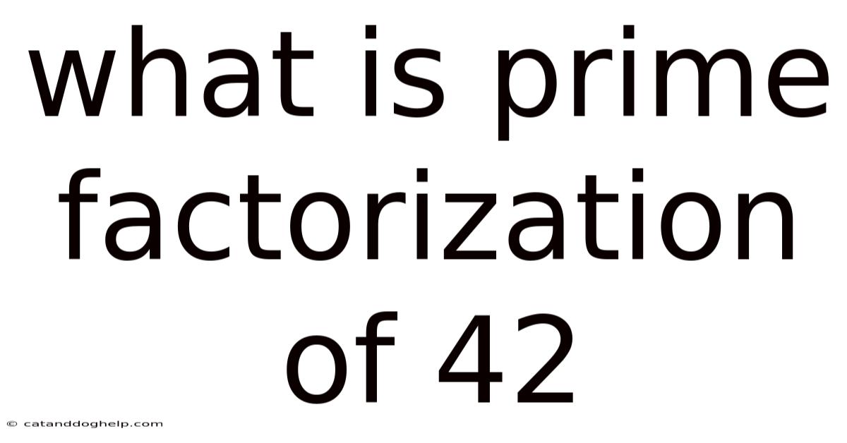 What Is Prime Factorization Of 42