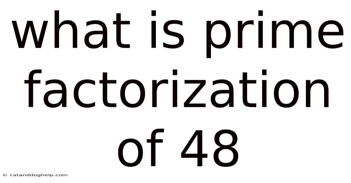What Is Prime Factorization Of 48
