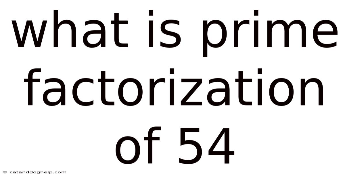 What Is Prime Factorization Of 54
