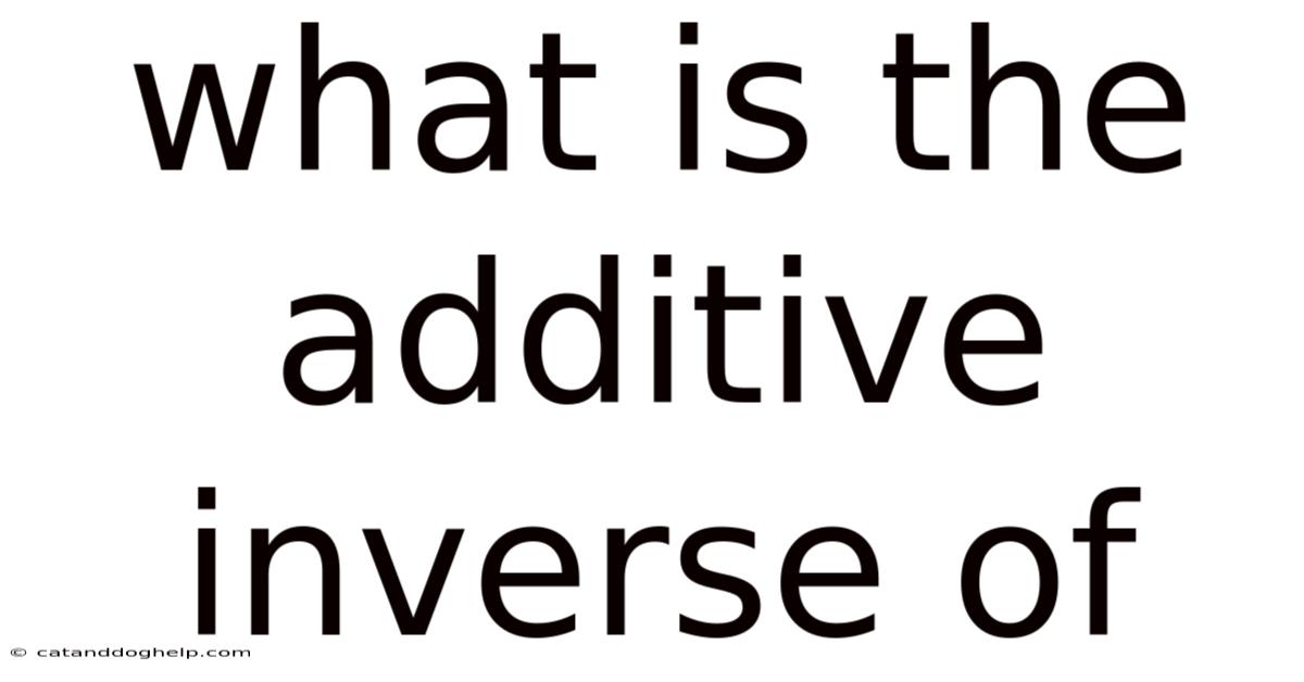 What Is The Additive Inverse Of