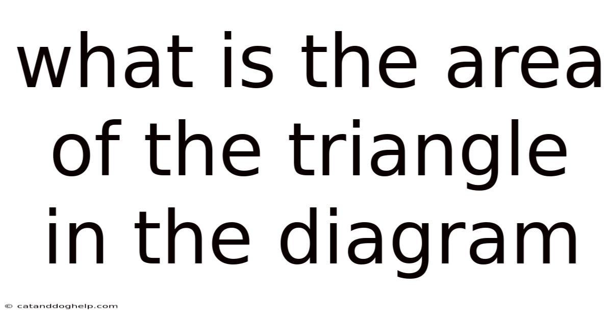 What Is The Area Of The Triangle In The Diagram