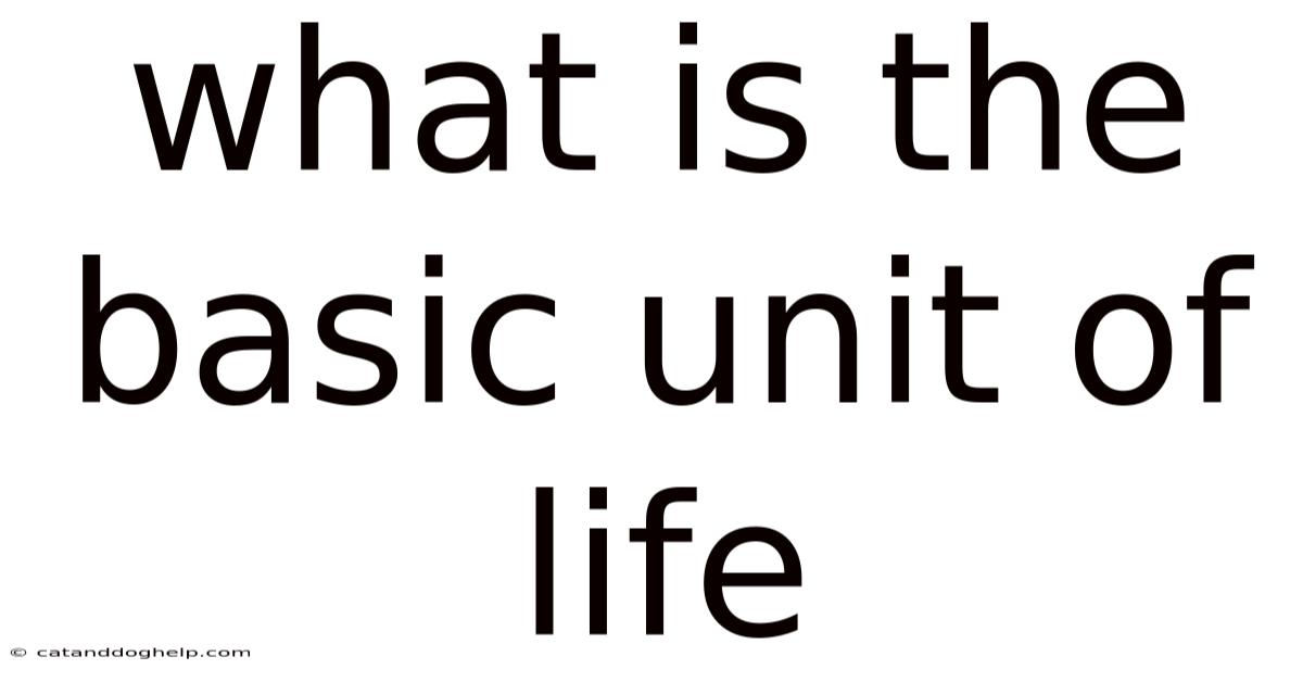 What Is The Basic Unit Of Life