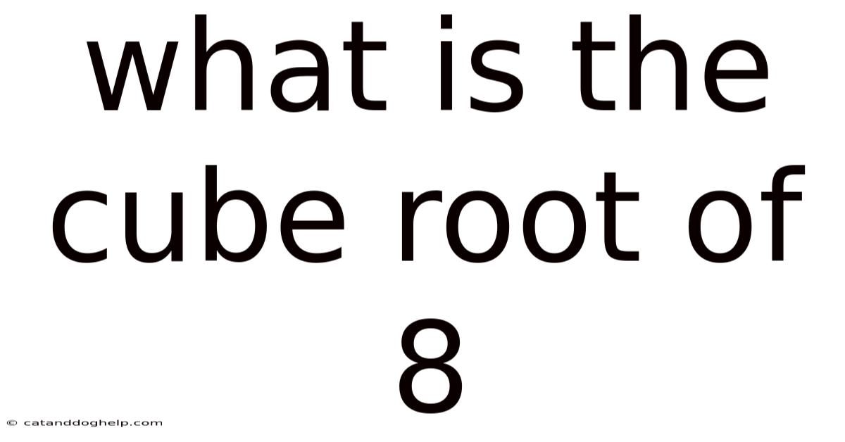 What Is The Cube Root Of 8
