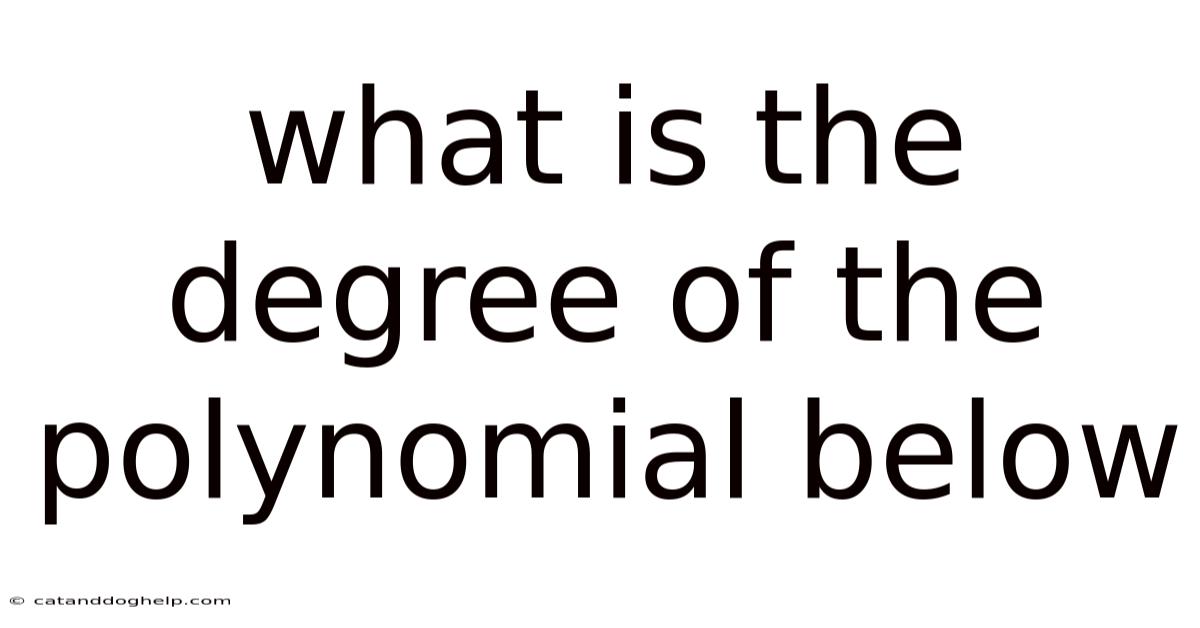 What Is The Degree Of The Polynomial Below