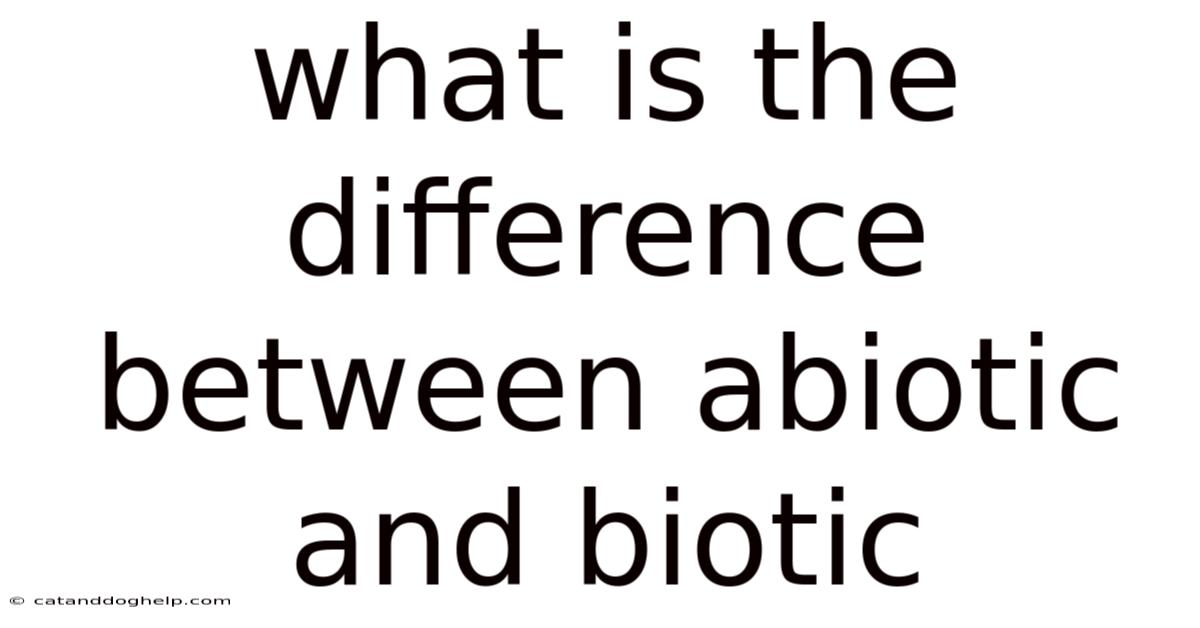What Is The Difference Between Abiotic And Biotic